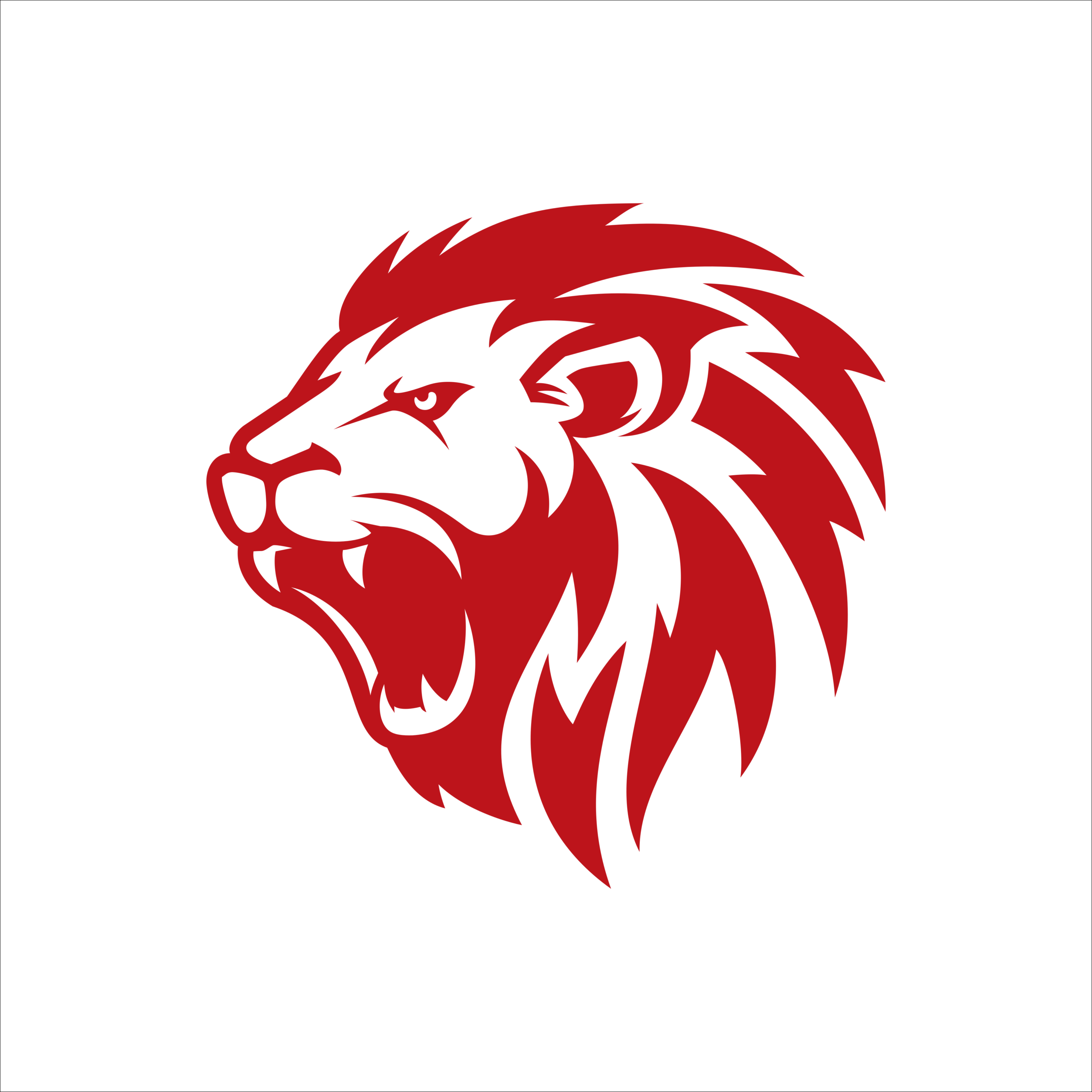 LazyLionRacing